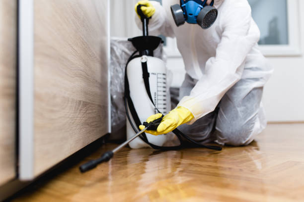 Best Mosquito Control Services  in Bloomingdale, TN