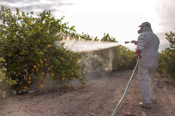 Best Pest Control for Businesses  in Bloomingdale, TN