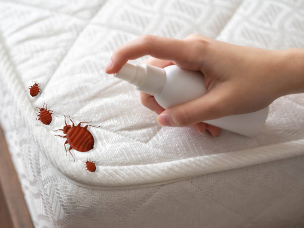 Best Exterminator Services  in Bloomingdale, TN