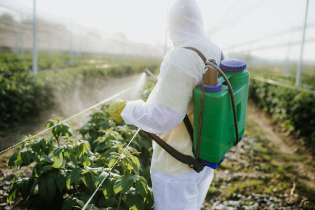 Reliable Bloomingdale, TN Pest Control Solutions